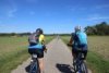Le long du Rhin : Jour 1 >Les cigognes restent...